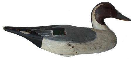 B450 R. Madison Mitchell, Pintail drake, Havre de  Grace MD  Drake Decoy in original paint circa 1960 - 1970 slightly turned head original paint with normal wear 19" long x 8"tall
