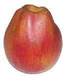 Y372 Rare over size Apple, Stone Fruit, very unusual shape, 4 1/2" tall x 3 1/2" wide