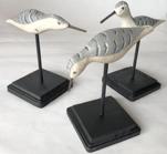 RM1027 Group of three Shore Birds Chincoteague Virginia, sign by the maker Bob Booth dated 1999