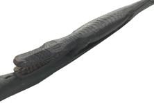E41 19th century Folk Art Carved Alligator Walking Stick / Cane in original green, black and white paint with applied tin collar on the base. Alligator is very intricately carved with defined scales, long tail with curved end, legs, feet, glass eyes and magnificently detailed individual teeth throughout his mouth. Wonderful wear and patina over entire surface. This would be a fantastic addition to any Folk Art Collection! Circa Late 19th Century. Overall Measurements: length 36¾”, top is 1½” diameter, bottom is 5/8” diameter. Alligator carving 17½” long x 2” tall x 1¾” wide