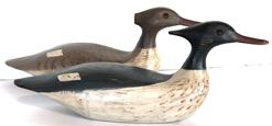 F62 Pair of Merganzer Decoys from Eastern Shore, Virginia carved by Gary Crossman. All original paint, stamped with a "C" which is the carver’s mark.