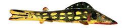 M16B Hand carved Folk Art Pike shaped / painted Fish Decoy from Michigan featuring original green, yellow and red painted surface and carved details for mouth and gills. Wooden body with stationery tin fins featuring painted details on all tin to match the body paint. Painted eyes. Solid wood body with a metal weight embedded into the underbelly. Carver identified as Buriss. Approximate measurements: ~6 ½ long x ~1 ¾ wide x ~1 ¼ tall.