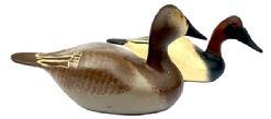 L152 Pair of miniature Canvasback Duck Decoys carved by Clarence �Titbird� Bauer (1925-2006) of Havre De Grace, Maryland. The Drake is signed and dated �1979� on bottom. Both decoys have slightly turned heads and great original painted surfaces. Approximate measurements: ~4 &frac12;-5� long x ~1 &frac34;� wide x ~2�- 2 &frac14;� tall.  