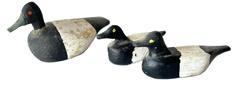K1695A Group of 3 miniature decoys.  The smaller two have �T� carved into the bottoms and measure approximately 2 &frac34;� � 3� long x 1 &frac14;� tall. The larger decoy is signed �Walter Lew?� and dated (illegible) on bottom and measures approximately 3 &frac34;� long x 1 &frac12;� wide x 2� tall.   