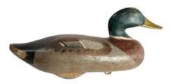 L387 Mallard Drake Decoy bearing original painted surface carved by R. Madison Mitchell (1901-1993) of Havre de Grace, MD. Original weight, staple and ring remain intact on bottom. 