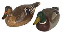 L151 Pair of miniature Mallard Duck Decoys carved by Clarence �Titbird� Bauer (1925-2006) of Havre De Grace, Maryland. Unsigned. Both decoys have slightly turned heads and great original painted surfaces. Approximate measurements: ~4 &frac34;� long x ~1 &frac34;� wide x ~2� tall. 