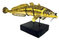 M1132C Hand carved wooden fish decoy, believed to be a representation of a Burbot fish, with yellow and black hand painted surface and stationery tin fins. Intricately carved single barbel on chin is characteristic of the Burbot which is also known as the Freshwater Cod.