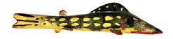 M16B Hand carved Folk Art Pike shaped / painted Fish Decoy from Michigan featuring original green, yellow and red painted surface and carved details for mouth and gills. Wooden body with stationery tin fins featuring painted details on all tin to match the body paint. Painted eyes. Solid wood body with a metal weight embedded into the underbelly. Carver identified as Buriss. Approximate measurements: ~6 ½ long x ~1 ¾ wide x ~1 ¼ tall.