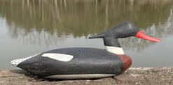 F207 Mid 20th century fine red breasted merganser decoy by Alvin Meekins of Hooper’s Island, Dorchester County, Maryland, Circa 1960’s