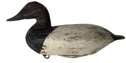 Y4 Canvasback Drake from Cecil County Maryland carver unknown