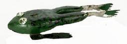 M16K Hand carved and painted Frog shaped Fish Decoy with large painted tack eyes and metal legs / feet. The carver of this whimsical fish decoy is identified as Raymond Ray Veihl of Michigan. Solid wooden body with stationery metal fins featuring painted details to match the body paint and a metal weight embedded into the underbelly. Approximate measurements: ~5 ¼ long x 2 ¼ wide x ~5/8 thick.