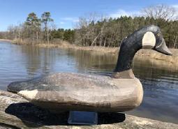 **Sold**E105 Clarence (TITBIRD) Bauer 1925-2006 Havre de Grace, Md Rare Full size Goose decoy in original paint Titbird started the decoy business at 6 years old. Worked for Madison Mitchell for 32 years