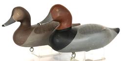 F60 Super gunned over pair of Redhead decoys carved by Madison Mitchell (1901-1993) from Havre de Grace, Maryland. Both decoys have the original paint and are signed and dated 1955. The Hen has a slightly turned head. Decoys have a great dry surface never oiled or waxed.