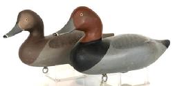F60 Super gunned over pair of Redhead decoys carved by Madison Mitchell (1901-1993) from Havre de Grace, Maryland. Both decoys have the original paint and are signed and dated 1955. The Hen has a slightly turned head. Decoys have a great dry surface never oiled or waxed.