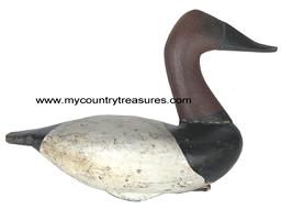 RM1039 Charles Barnard (1876-1958) High-head Canvasback drake decoy from upper Chesapeake Bay. Notice the boat hull-like body and original balance weight. Barnard was a guide and market hunter. Many consider his decoys to be the finest example of an Upper Bay carving. The body is original with working repaint (original painted feathers can be seen under second coat of paint) The head was carved by Lloyd Cargile, based on an original example of Barnard’s work.