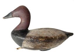 RM1098 Rare Charles Barnard (1876-1958) Canvasback Drake decoy from upper Chesapeake Bay. Notice boat hull like body. Original balance weight.