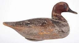E248 AUGUST HEINEFIELD (ROCK HALL,MARYLAND), CARVED AND PAINTED REDHEAD DRAKE DECOY, having solid-body form with original weight to underside, paint by Glenn on body by Heinefield. Old, original, painted surface.