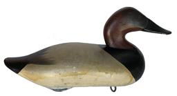 E384 Canvasdback Drack carved by Madison Mitchell , in original paint from Have De Grace Maryland