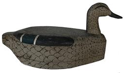 E5 Pennsylvania Susquehanna River Oversized Mallard Hen in original paint, very unusually form the body is laminated in tree layers of wood
