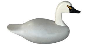 K1804 Miniature hand carved swan decoy signed �Capt. Rog. Urie� �Rock Hall Md� on bottom. Approximate measurements: 6 &frac12;� long x 2 &frac34;� wide x 3 &frac12;� tall.  