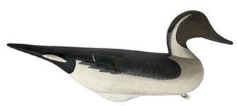 K105 Oldsqaw /Pintail Drake Duck Decoy carved by R. Madison Mitchell Signature and date inscribed on bottom: R Madison Mitchell 1967. Decoy bears its original painted surface with the original staple, ring and weight intact on bottom. Robert Madison Mitchell was born in 1901 in Oakington, Maryland, near Harford Countys Swan Creek, just south of Havre de Grace, and he grew up in this watermans community at the top of the bay. Mitchell died on January 14, 1993 at the age of 91. Approximate measurements: 18 ½ long x 5 ½ wide x 8 tall
