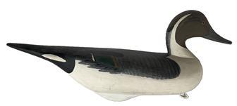 K105 Oldsqaw /Pintail Drake Duck Decoy carved by R. Madison Mitchell � Signature and date inscribed on bottom: �R Madison Mitchell 1967�. Decoy bears its original painted surface with the original staple, ring and weight intact on bottom.  Robert Madison Mitchell was born in 1901 in Oakington, Maryland, near Harford County�s Swan Creek, just south of Havre de Grace, and he grew up in this waterman�s community at the top of the bay. Mitchell died on January 14, 1993 at the age of 91. Approximate measurements: 18 &frac12;� long x 5 &frac12;� wide x 8� tall  