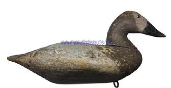 E265 Early Canvasback Hen decoy - circa 1900 - from Upper Bay Susquehanna Flats. Tack eyes and early 2nd coat of paint over the original paint with traces of a brand on bottom of decoy.