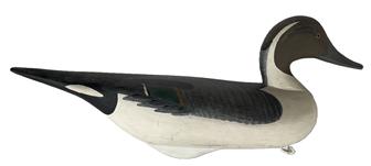 K105 Oldsqaw /Pintail Drake Duck Decoy carved by R. Madison Mitchell  Signature and date inscribed on bottom: R Madison Mitchell 1967. Decoy bears its original painted surface with the original staple, ring and weight intact on bottom.  Robert Madison Mitchell was born in 1901 in Oakington, Maryland, near Harford Countys Swan Creek, just south of Havre de Grace, and he grew up in this watermans community at the top of the bay. Mitchell died on January 14, 1993 at the age of 91. Approximate measurements: 18 ½ long x 5 ½ wide x 8 tall  
