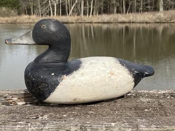 RM1096 Rare Charles Barnard (1876-1958) Bluebill Drake decoy from upper Chesapeake Bay from the Gabler rig . Notice boat hull like body. Original balance weight,Barnard was a guide and market hunter. Many consider his decoys to be the finest example of an Upper Bay carving. Cleaned down to the original paint shows several shot holes, from hunting use