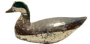 L497 Early hand carved Widgeon Decoy in Working Repaint with remnants of areas of original surface showing through. Carver unknown. Evidence of being shot over. Original staple and rectangular lead weight remain intact on bottom. Approximate measurements: ~14� long x ~5 &frac12;� wide x ~7� tall. 