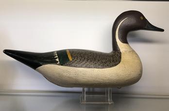 RM1024 Outstanding Pintail Drake decoy carved by Bob McGaw (1879-1958). Repainted later by John Glenn (died in1954) of Rock Hall, MD. This is a fine example of Bob McGaw’s work, and Pintail decoys are rare. Circa 1930’s.