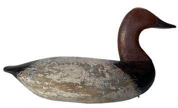 F111 Taylor Boyd (1856-1946) Upper Bay working Decoy, Canvasback Drake, in the original paint no cracs to the neck or body circa 1910 found in a rig of decoys in Talbot Co maryland
