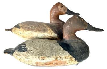 L259 Rig Mate Pair Canvasback Decoys carved by Will Heverin (1860-1951) from Charlestown, Maryland bearing very early working repainted surfaces. Both are Branded �PM� on bottoms of tails � which stands for the Paul Murphy Rig. These were found in a rig in Kennedyville, MD.  