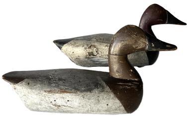 L39 Pair of Canvasback decoys carved by Earl Dunbar �Dick� Hipple (1891-1980) of Havre de Grace, Maryland boasting the "F" brand on the underside of both � for the collection of Henry Fleckenstein.  Both decoys retain what appears to be the original paint, and both show evidence of being shot over. The Drake retains original weight and staple on bottom and measures approximately 17� long x 8� tall. The Hen retains original weight, staple and ring intact on bottom and measures approximately 16� long x 8� tall. 