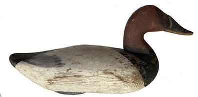 **SOLD** F281 Canvasback Drake decoy, carved by James A. Currier (1886 1971) of Havre De Grace, Maryland. Decoy was carved around 1930s 1940s and retains a large portion of original paint as well as some of the second coat of paint.