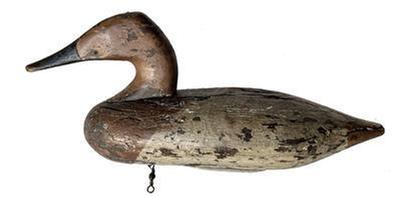 J16 Canvasback Decoy Early upper bay canvasback Hen decoy Old working second coat of paint with original paint showing thru circa 1920