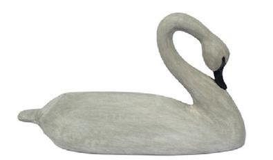 L452 Late 20th century Dorchester County, Maryland hand carved full sized wooden Swan Decoy with paddle tail and gracefully curved neck. Solid wood with glass eyes and original painted surface. Approximate measurements: 31 long x ~17 tall.