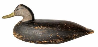 H202 Early Black Duck Decoy carved by Doug Jester of Chincoteague, Virginia. Circa 1920s original scratch feather painting. His speedy carving process provided affordable decoys for local hunters. Balsa, cedar, cottonwood and pine were preferable materials.