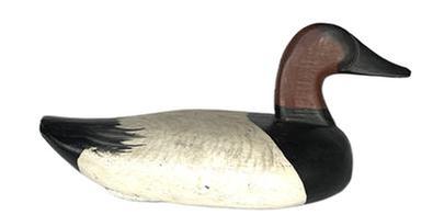 K318 Canvasback Drake decoy carved by John Glenn (1876-1954) of Rock Hall, Maryland. Original weight, staple and ring intact on bottom. John Glenn was both a waterman and farmer for most of his life. He started carving in 1916 and continued through the early 1930's.