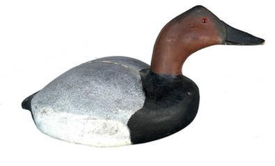 K28 Canvasback Decoy by John T. Baby John Evans Jr. of Crisfield, MD (1923-1994). Age crack in top of the back as seen in photos. Approximate decoy measurements: 15 ¾ long x 8 wide x 7 ½ tall. NOTE: Evans was a World War II Veteran, and a retiree of the Maryland National Guard after 27 years of service. He was also a (retired) carpenter and wood carver.