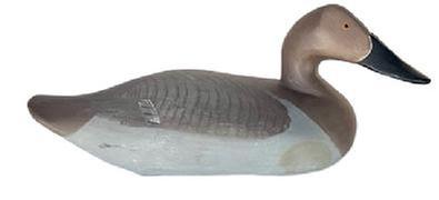 L413 Canvasback Hen decoy carved by Madison Mitchell (1901-1993) from Havre de Grace, Maryland. Electric pencil signature on bottom - "R. Madison Mitchell Havre de Grace, Md - 1971 Decoy has a slightly turned head, retains its original weight, staple and ring on bottom and bears its original painted surface with dry surface - never oiled or waxed.