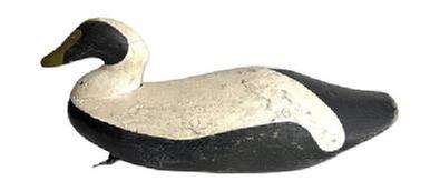 L460 Hand carved Eider Decoy from Maine carver unknown. This breed of sea ducks is sometimes also referred to as Cuddys Duck. Approximate measurements: 19 ½ long x 6 ¾ wide x 8 ¼ tall.