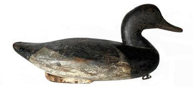 **SOLD** RM1510 Bluebill Decoy carved by James Holly (1855-1935) of Havre De Grace Maryland. Second coat of working paint with areas of original paint showing through. Original staple, ring and iron keel weight intact on bottom. NOTE: James Holly was the youngest son of John "Daddy Holly, Sr. and was a boat builder and craftsman by trade.