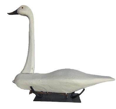 M72 Folk Art Swan Decoy with tack eyes and two railroad spikes as weights on bottom. Hand carved, solid wood. Custom made stand for display purposes is made from iron horseshoes. Carver unknown. Approximate measurements: ~31 long x ~9 wide x ~27 ½ tall. The bottom of the base measures 14 long x 6 wide.