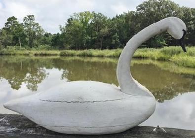 *SOLD* D395 Large full size wooden white Swan, with a detailed carved head. R L W carved into bottom circa 1960