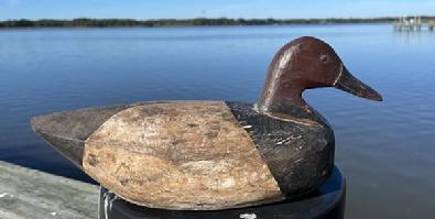 **SOLD** H938 Canvasback drake decoy carved by Captain John Smith (1871-1959), Ocean City, Maryland.
