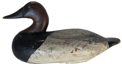 E374 Canvsback Drake by Henry Lockard 1868-1944 from Elk Neck, Cecil County Md