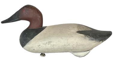 **SOLD** K1537 Canvasback Decoy carved by Madison Mitchell Havre de Grace, MD (1901-1993) bearing a nice second coat of working paint and a few areas showing evidence of being shot over. Original staple, ring and weight remain intact on bottom.   