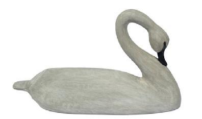  L452 Late 20th century Dorchester County, Maryland hand carved full sized wooden Swan Decoy with paddle tail and gracefully curved neck. Solid wood with glass eyes and original painted surface.  Approximate measurements: 31� long x ~17� tall.  