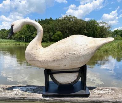 **SOLD** RM1550 Hollow body Swan decoy with wooden keel in a slightly forward "hissing" pose - carved by John Paxton of Eastern Shore, Virginia. Glass eyes and multi layered painted surface. Custom made stand included. Approximate measurements: 33" long x 10 1/2" wide x 23" tall.   